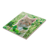 Ginger Cat with Green Eyes in Grass Fliese (Seite)