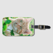 Ginger Cat with Green Eyes in Grass Gepäckanhänger (Vorderseite (Horizontal))