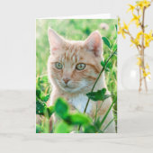 Ginger Cat with Green Eyes in Grass Karte (Gelbe Blume)