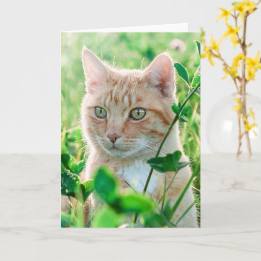 Ginger Cat with Green Eyes in Grass Karte (Gelbe Blume)