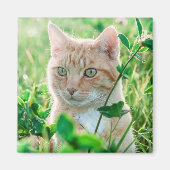 Ginger Cat with Green Eyes in Grass Magnet (Vorne)