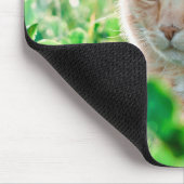 Ginger Cat with Green Eyes in Grass Mousepad (Ecke)