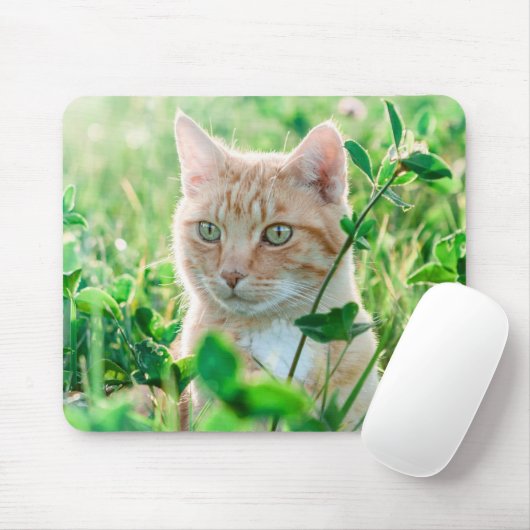 Ginger Cat with Green Eyes in Grass Mousepad (Mit Mouse)