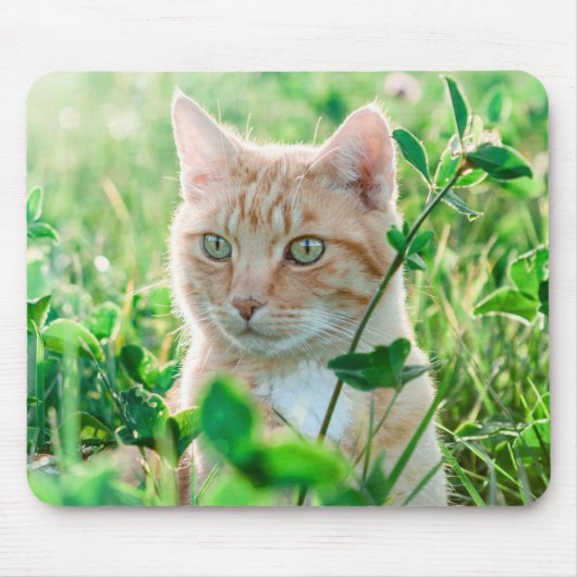 Ginger Cat with Green Eyes in Grass Mousepad (Vorne)
