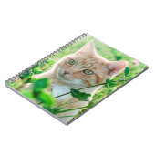 Ginger Cat with Green Eyes in Grass Notizblock (Linke Seite)