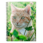 Ginger Cat with Green Eyes in Grass Notizblock (Vorderseite)