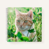 Ginger Cat with Green Eyes in Grass Notizblock (Vorderseite)