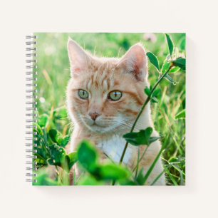 Ginger Cat with Green Eyes in Grass Notizblock