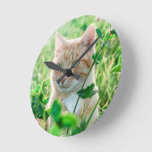Ginger Cat with Green Eyes in Grass Runde Wanduhr (Winkel)