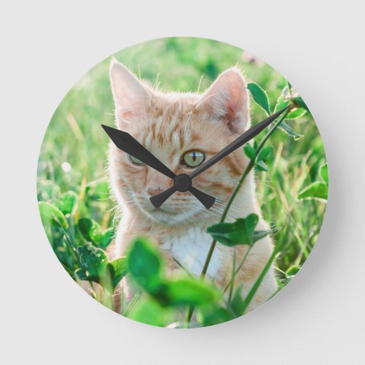 Ginger Cat with Green Eyes in Grass Runde Wanduhr (Vorderseite)