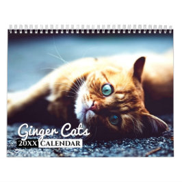 Ginger Cats Foto Wall Calendar Kalender