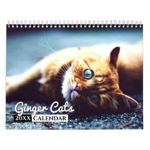 Ginger Cats Foto Wall Calendar Kalender