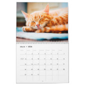 Ginger Cats Foto Wall Calendar Kalender (Mär 2026)