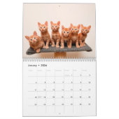 Ginger Cats Foto Wall Calendar Kalender (Jan 2026)