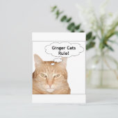 Ginger Cats Regel! Postkarte (Stehend Vorderseite)