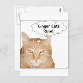Ginger Cats Regel! Postkarte (Vorne/Hinten)