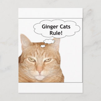 Ginger Cats Regel! Postkarte
