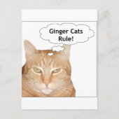 Ginger Cats Regel! Postkarte (Vorderseite)