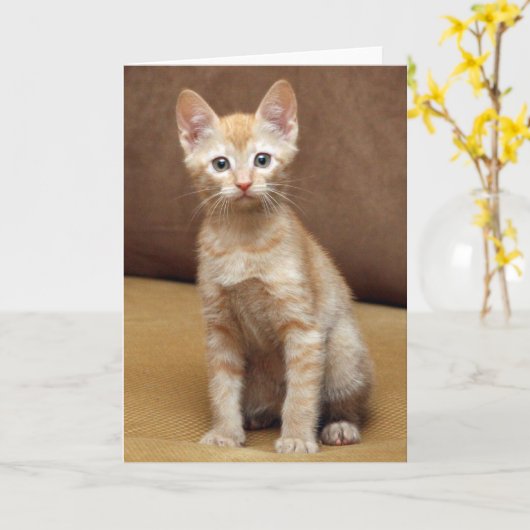 Ginger Couch Karte (Gelbe Blume)