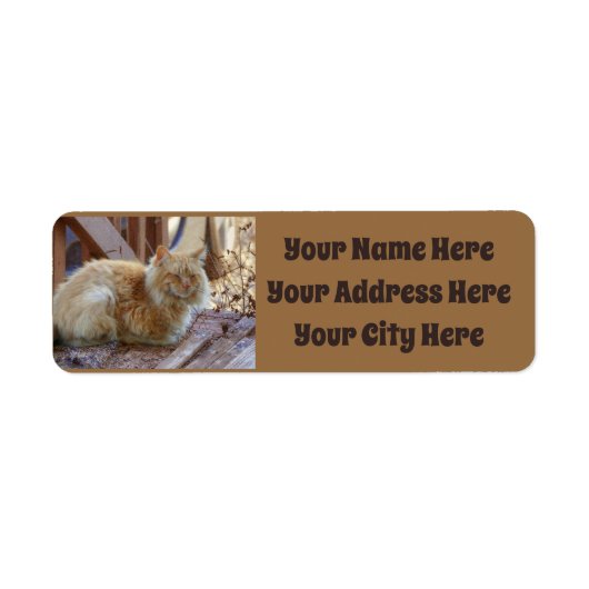 Ginger George (Vorne)