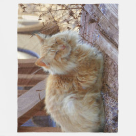 Ginger George Fleecedecke