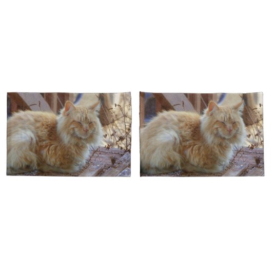 Ginger George Kissenbezug (Rückseite-Set)