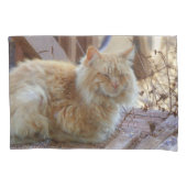 Ginger George Kissenbezug (Vorderseite-Links)