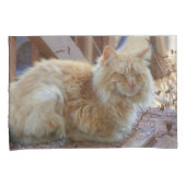 Ginger George Kissenbezug (Vorderseite-Rechts)