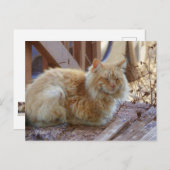 Ginger George Postkarte (Vorne/Hinten)