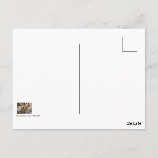 Ginger George Postkarte (Rückseite)