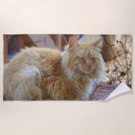 Ginger George Strandtuch