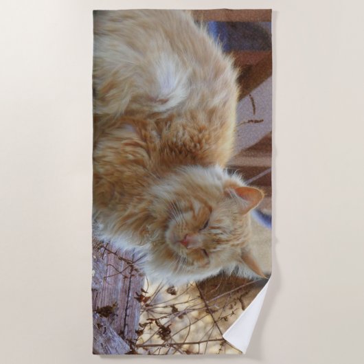 Ginger George Strandtuch (Vorderseite)