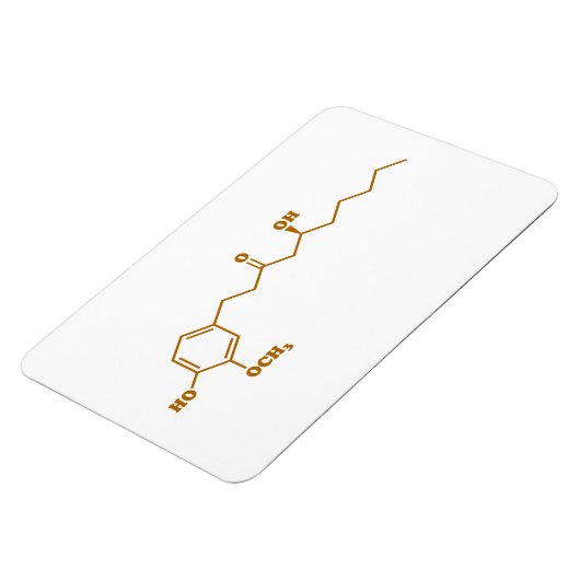 Ginger Gingerol Molecule Chemische Formel Magnet (Linke Seite)