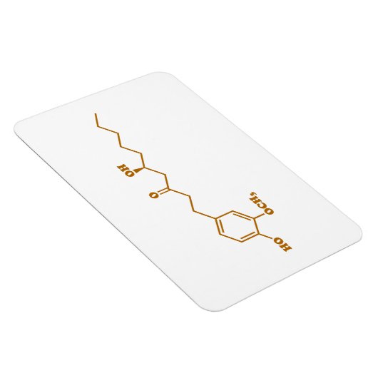 Ginger Gingerol Molecule Chemische Formel Magnet (Rechte Seite)