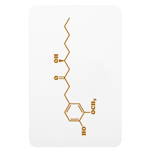 Ginger Gingerol Molecule Chemische Formel Magnet (Vertikal)