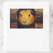 Ginger Guinea Pig Geschenke Rechteckiger Aufkleber (Tasche)