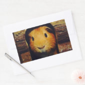 Ginger Guinea Pig Geschenke Rechteckiger Aufkleber (Umschlag)