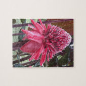 Ginger Heliconia Puzzle (Horizontal)