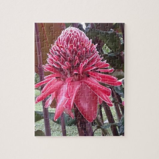 Ginger Heliconia Puzzle (Vertikal)