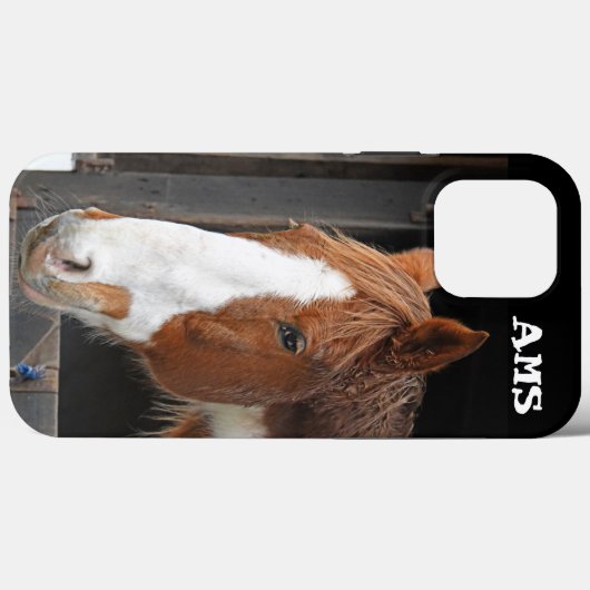 Ginger Horse on Farm Case-Mate iPhone Case (Rückseite (Horizontal))