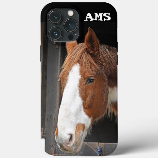 Ginger Horse on Farm Case-Mate iPhone Case (Rückseite)