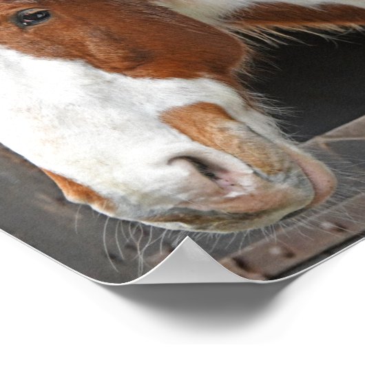 Ginger Horst on Farm Nur ein Mädchen, das Pferde L Poster (Ecke)