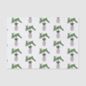 Ginger-Jargis Seidenpapier (Vorderseite)