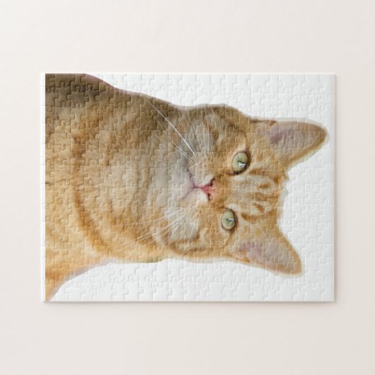 Ginger Katzenaugen Puzzle (Horizontal)