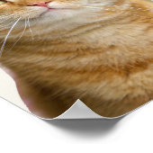 Ginger Katzengrüne Augen Poster (Ecke)