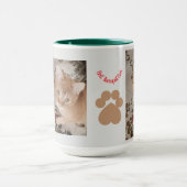 Ginger kitten 2 photos, best therapist,  tasse (Zentrum)