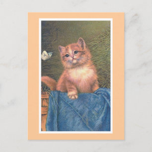 "Ginger Kitten and Butterfly" Vintag Postkarte