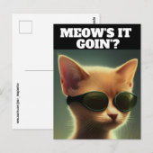GINGER KITTEN CAT ART SUNGLASSEN HELLO Postkarten (Vorne/Hinten)