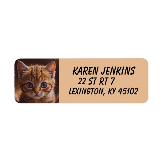 GINGER KITTEN CAT CUSTOM Return Address Labels (Vorne)