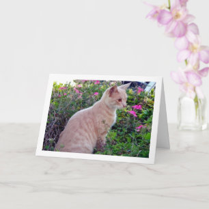 Ginger Kitten in Floral Karte